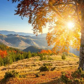 Beatshare Selection 303